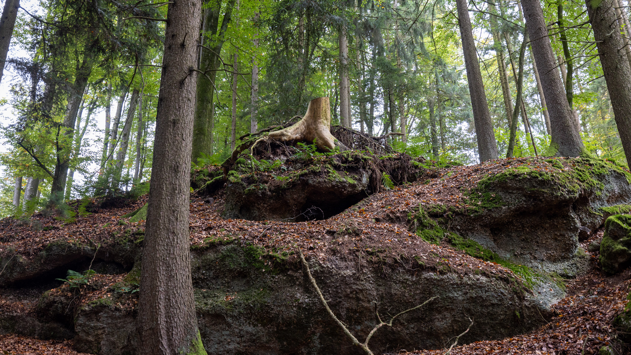 20231015113749 R5D 4416